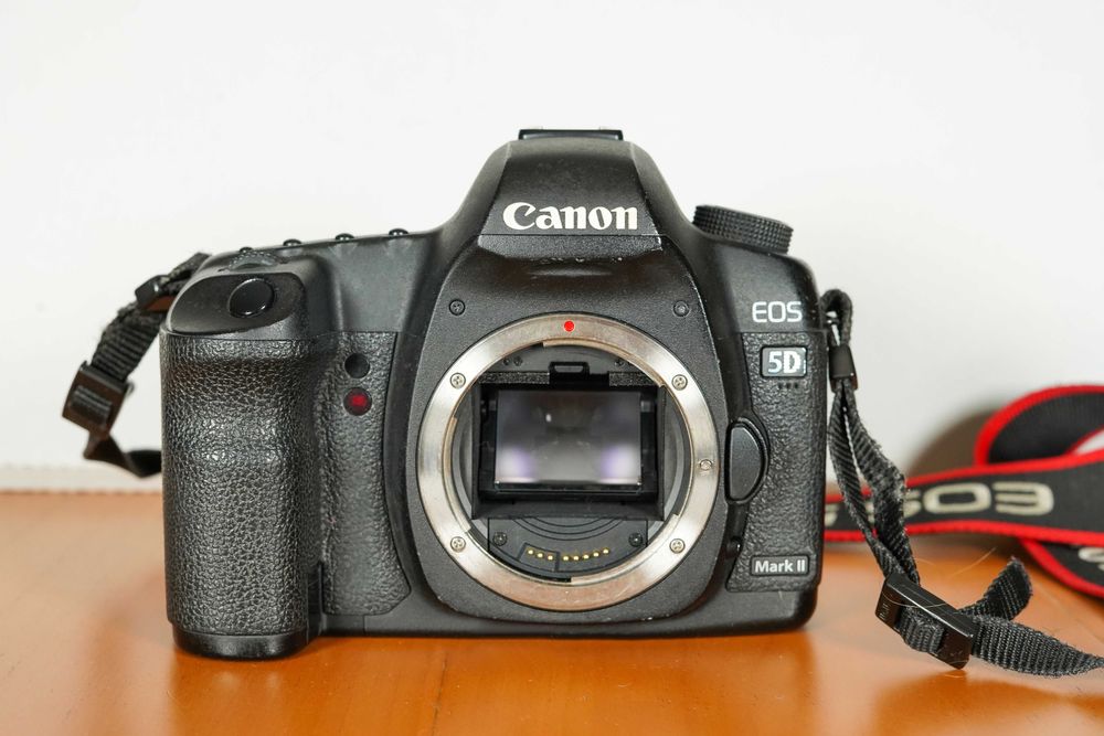 Canon EOS 5D Mark IV 【USED】 Used Canon 5D Mark IV | Park Cameras