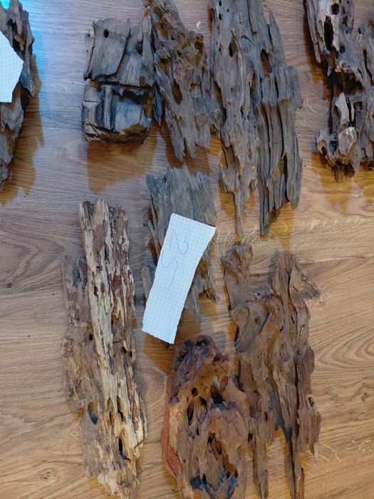 Korzenie do akwarium dragon wood