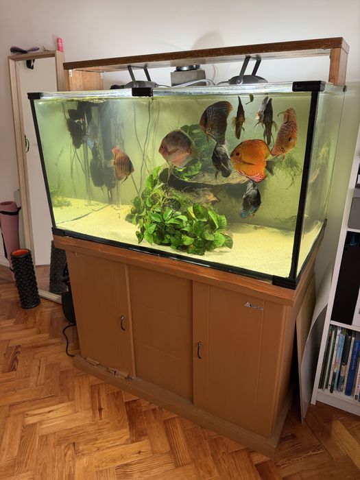 Filtro fluval fx4 mais aquario completo