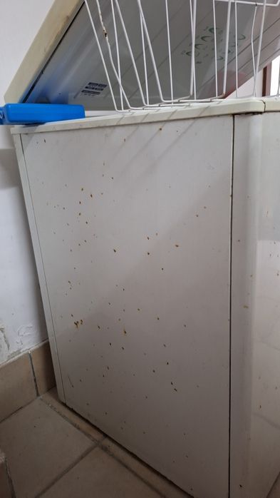 Arca congeladora Ariston 211 L
