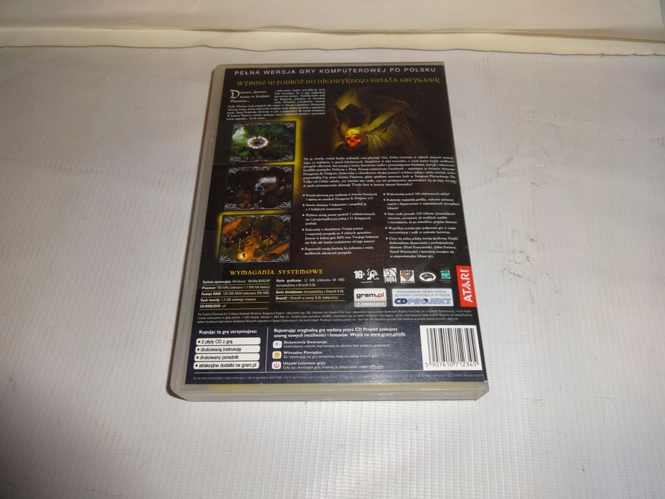Dungeon & Dragons Świątynia Pierwotnego Zła PC