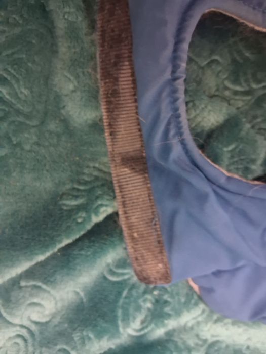 Coleta para cão usado 2 vezes