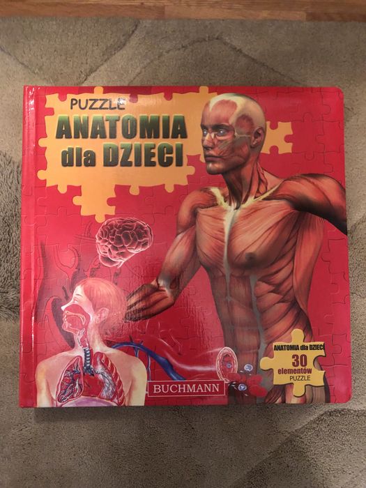 Puzle dla dzieci budowa ciala anatomia