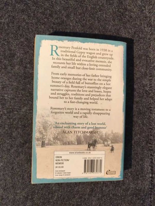Rosemary Penfold - A Field Full of Butterflies
