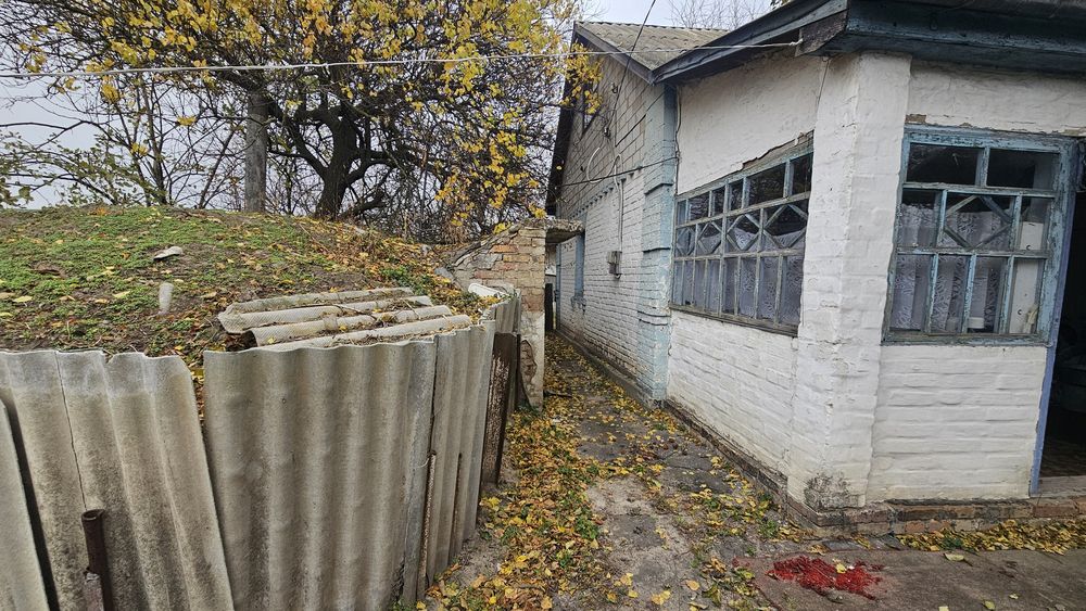 Будинок 70 кв.м на 10 сотках