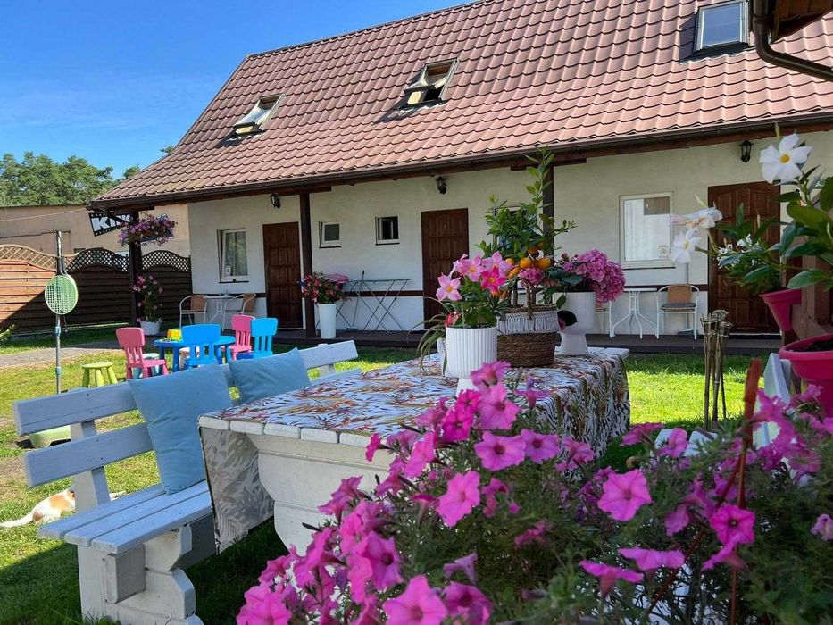 Domki w Międzywodziu - terminy od 22 sierpnia - Promocja - 150m do plaży