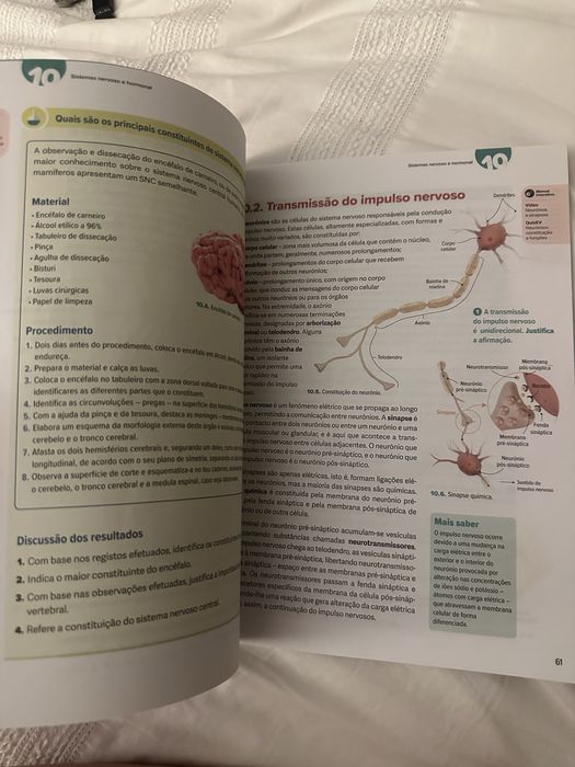 Com Vida Ciências Naturais 9.º Ano