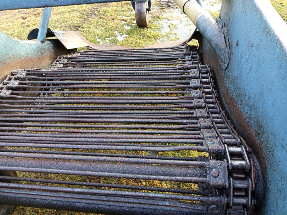 Ziemniaki warzywa chrzan cebula kopaczka