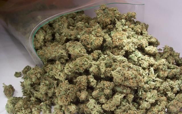 Susz Cbd, Łomża dowóz, konopie indyjskie, marihuana 6-16%