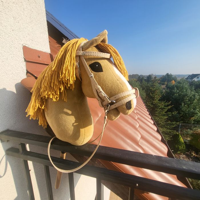 Kasztanowaty hobby horse z ogłowiem,  derką i maską