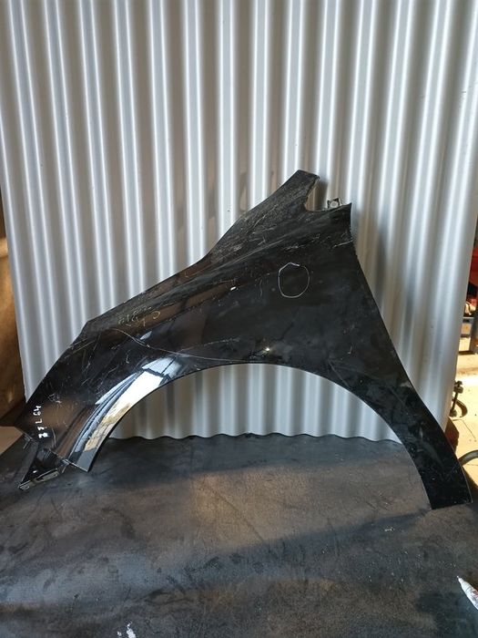 Guarda Lamas Citroen C4 II ESQUERDO  Preto