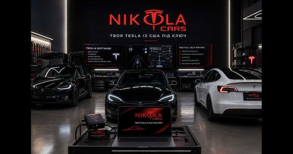 Професійні програмні роботи для Tesla всіх моделей: Model S, Model 3, Model X, Model Y.
