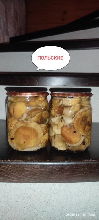 Маринованные грибы " Рядовка( тополевая),Маслята,Польские, зеленушки