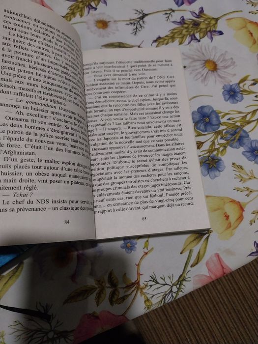L'Espion Français. Portes incluídos