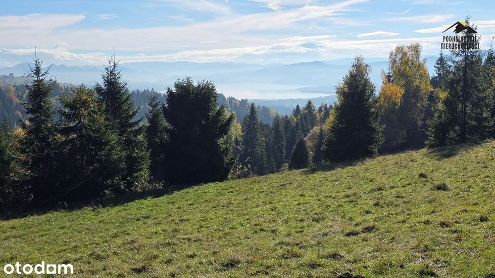 Widokowa polana w Gorcach