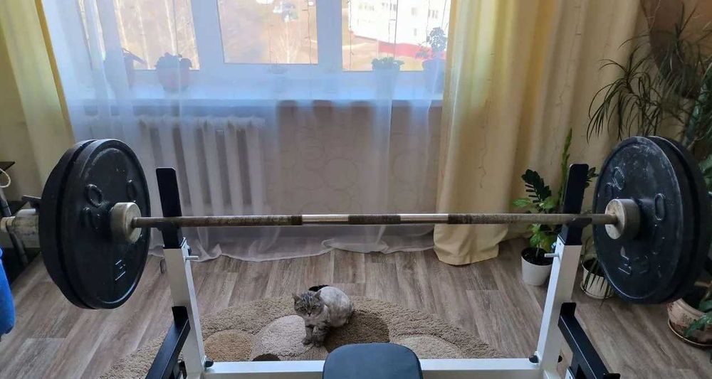 Штанга 132,5 кг. Гриф олимпийский СССР