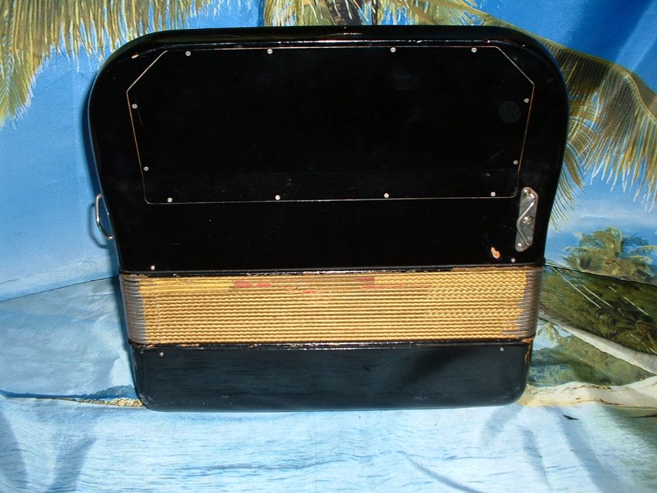 Avenda concertina n.39