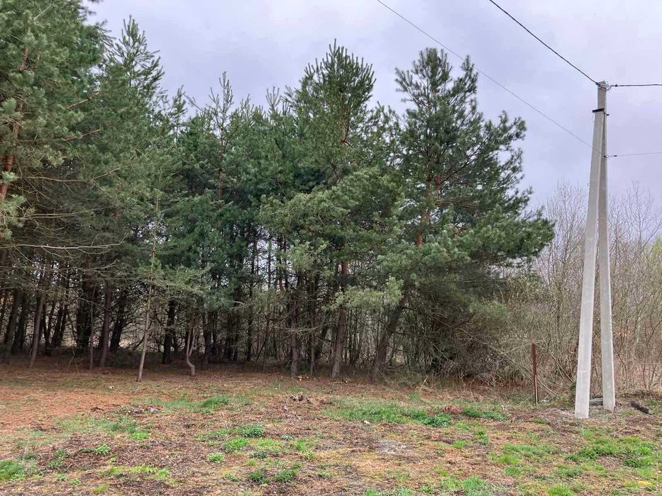 Земельна ділянка в с. Паланки