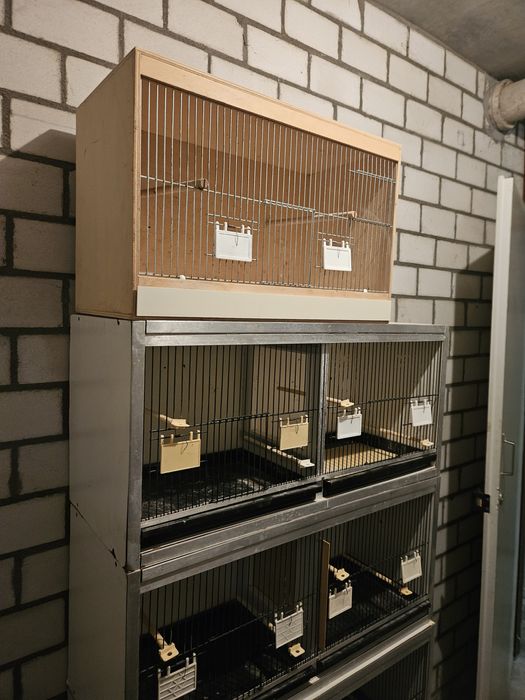 Regał dla ptaków papug kanarków