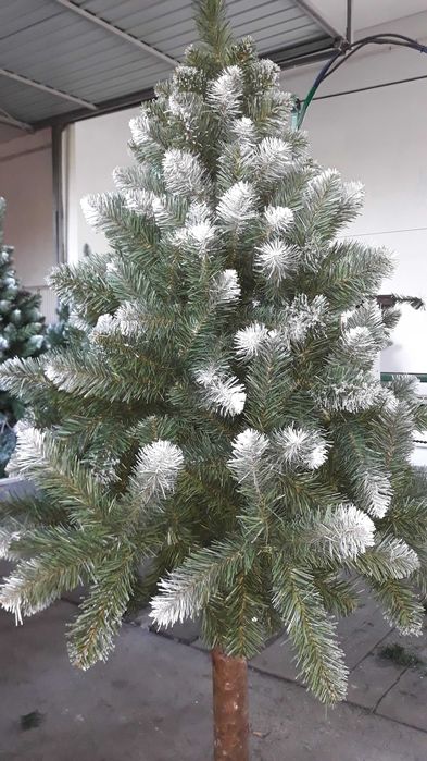 Choinka Sztuczna na pniu (gęsta)-Sosna Diamentowa-160cm (producent)