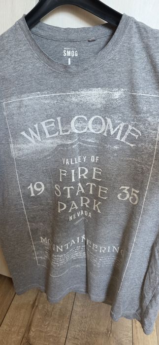 Koszulki   męskie Szara L