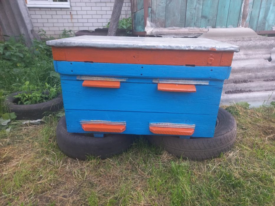 Продам бджолосім'ї