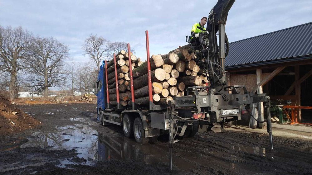 buk, jesion,dąb - kłody, dostawa