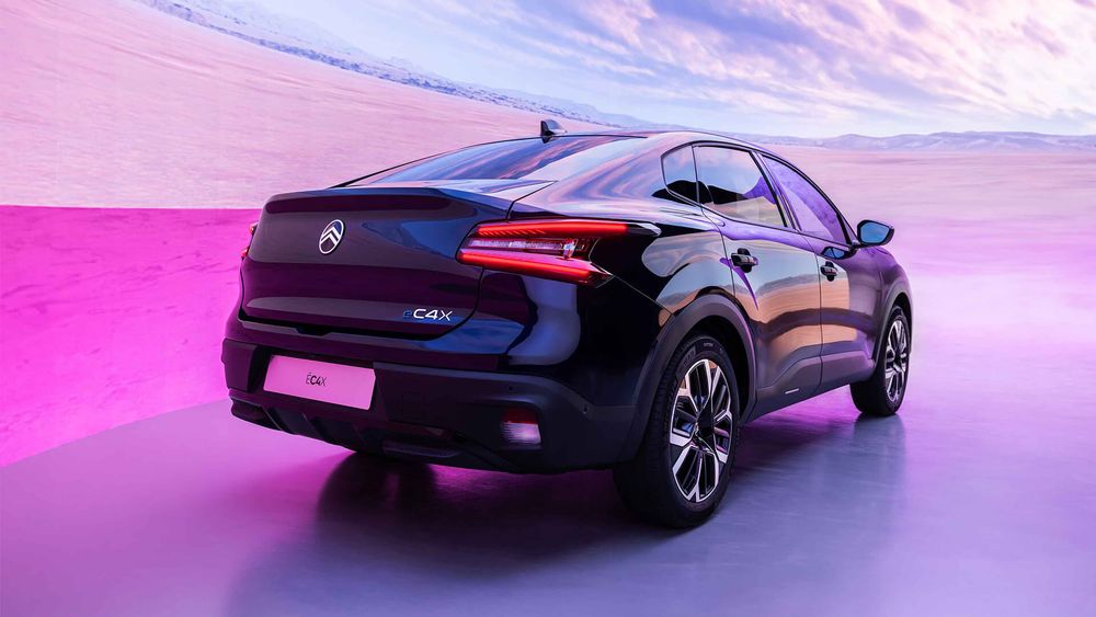 Zdjęcie w galerii numer 3