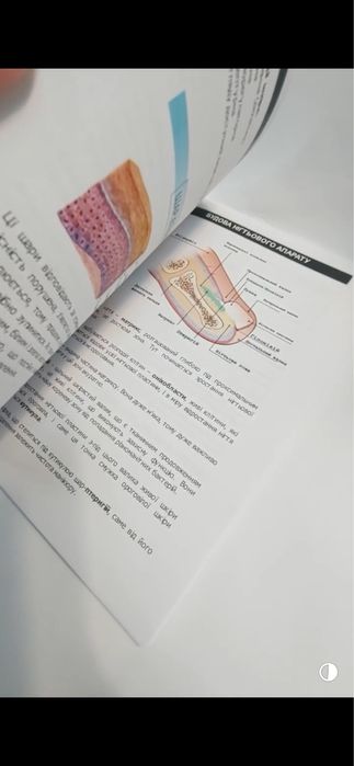 Методичка, посібник, для майстра манікюра, навчання