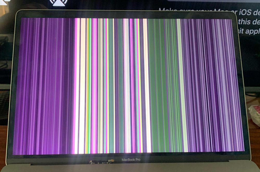 Ekran MacBook Pro 15 A1990 Oryginalny Uszkodzony Matryca LCD