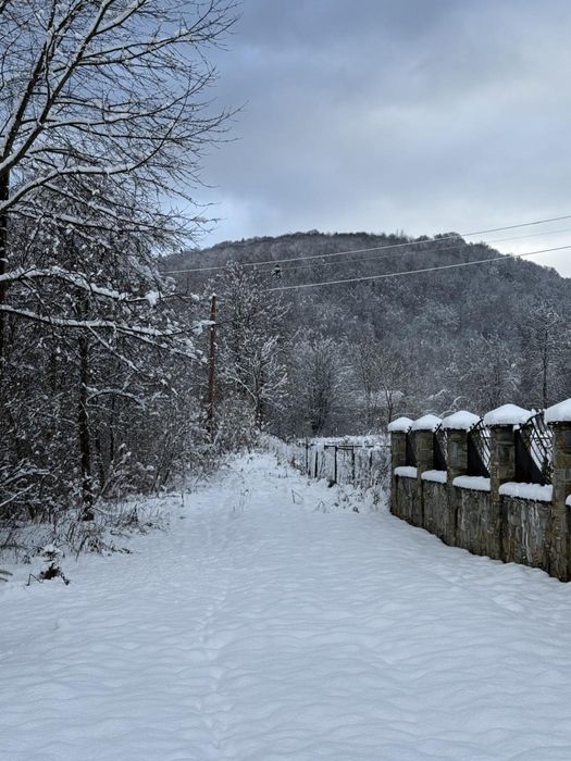 Продаж / Земля / ОСГ / Верхнє Синьовидне/ Львівська область