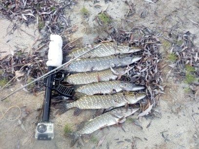 Продам подводное ружье