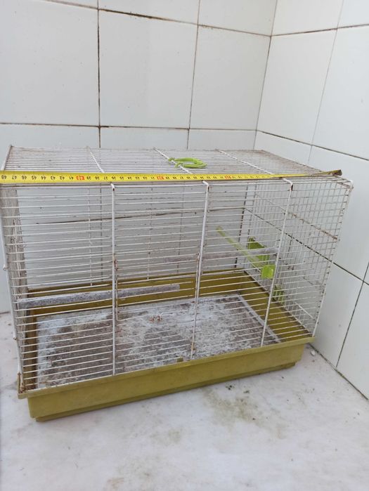 Gaiolas para aves com bebedouro, comedouro e poleiros