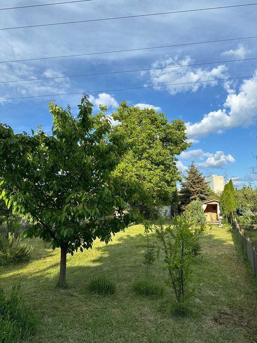 Ogród działkowy ROD ,, Bajki „ 490m2 ul. Borowska