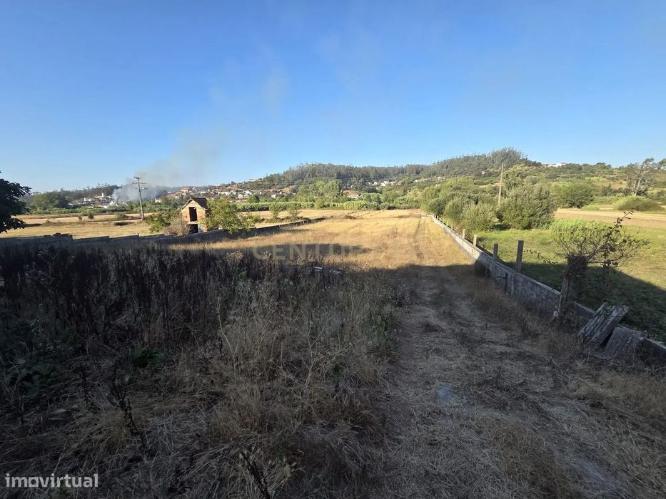 Casa Antiga || Quintinha com 7000 m2 || Vermoil, Pombal