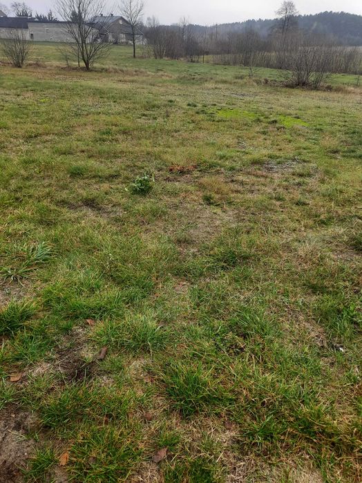 Sprzedam działkę 1100m Ostrówek gm Dąbrówka