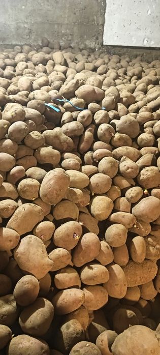 Ziemniaki Monte Carlo 15 zł