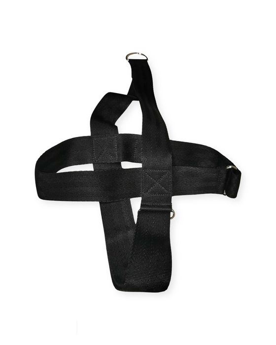 Петля Гліссона з резинкою та карабінами (Standard)