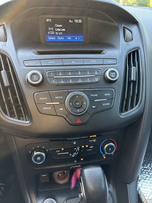 Ford Focus 2017 VIN 1FADP3K23HL225283 фото оголошення 10 з 21