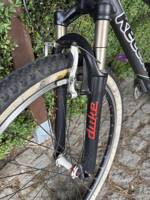 Rower MTB custom