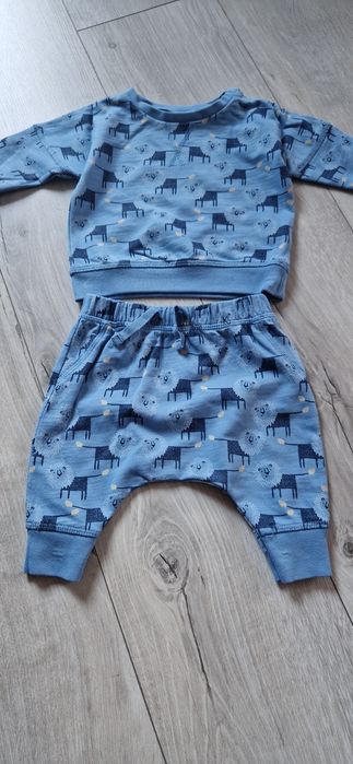 Next komplet dres dresik lwy zwierzątka