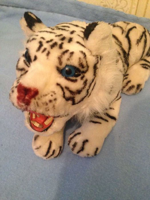 Тигр Альбинос наст. оскал USA фирм
