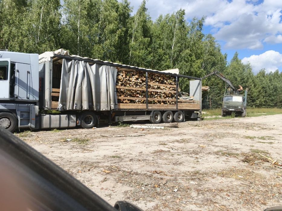 Береза/Сосна/Вільха 2 м. Колоди/Дрова Доставка тільки ОПТ від фури-тверді 1м