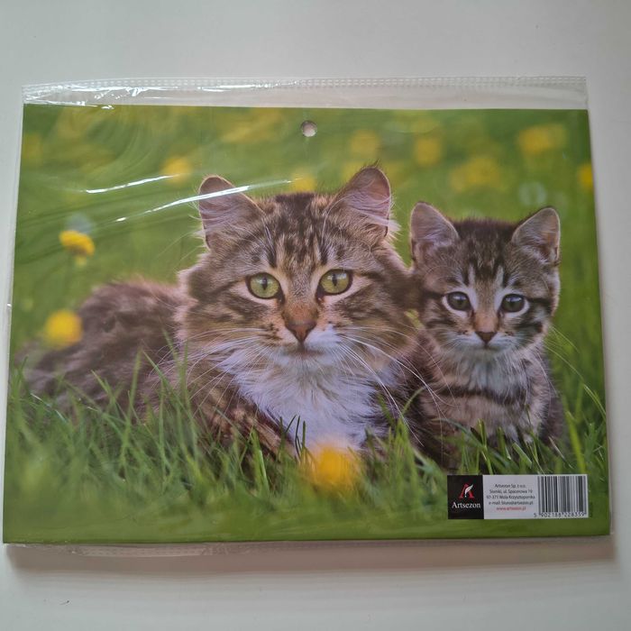 Kalendarz trójdzielny kotki