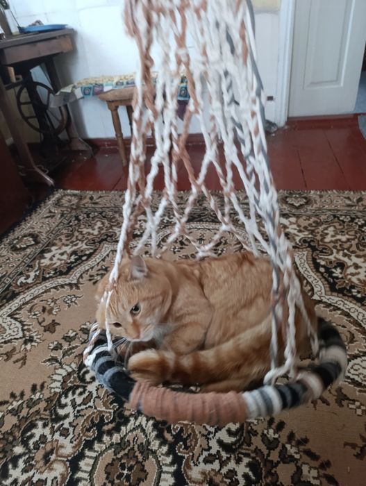 гойдалка для котика