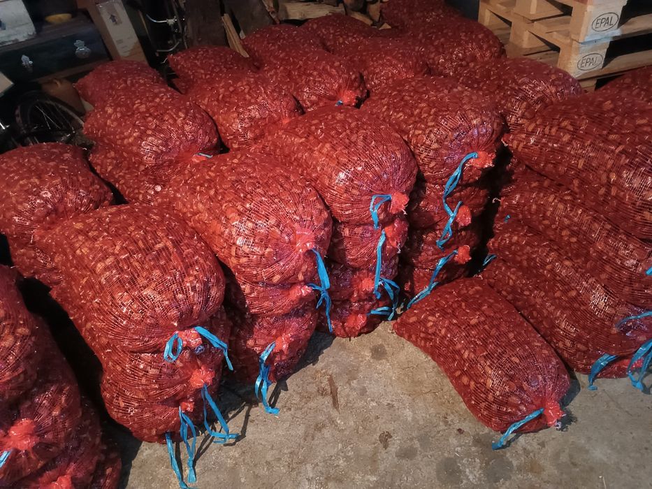 Vende-se Castanhas