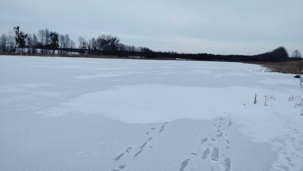 Działka nad jeziorem