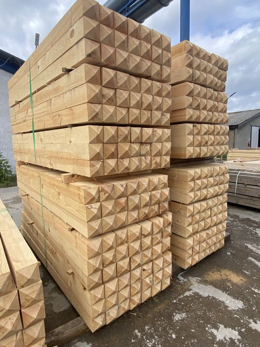 Tarcia Dąb Buk Olcha Brzoza Modrzew