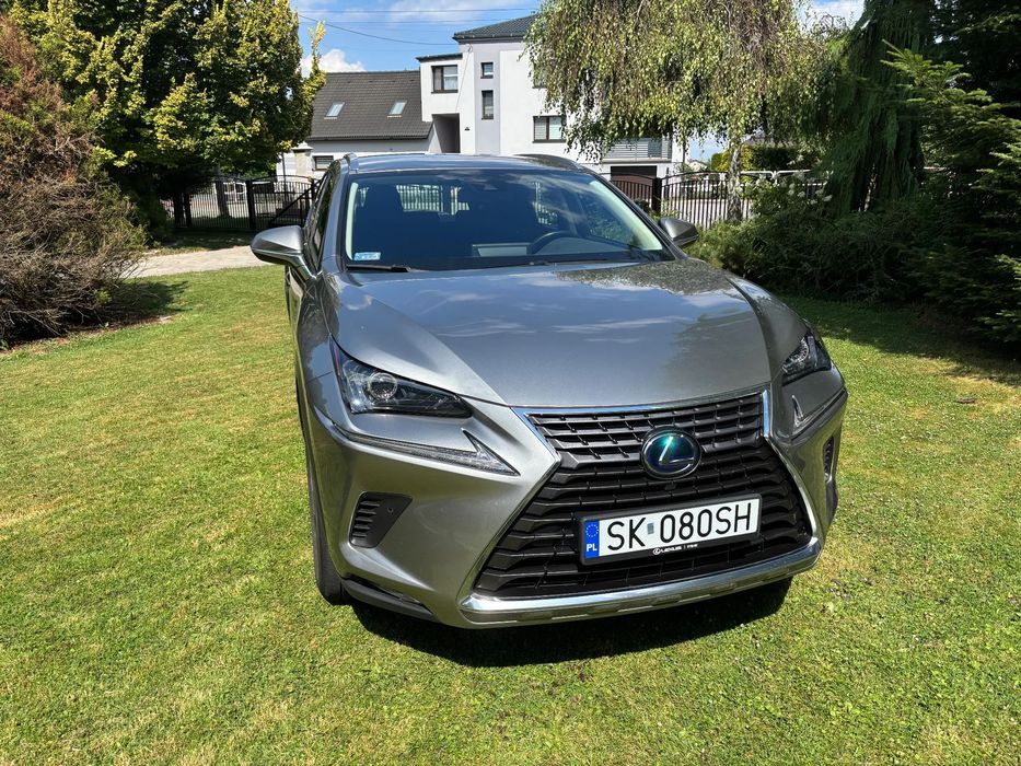 Lexus NX Lexus NX 300h Elegance Optimum AWD