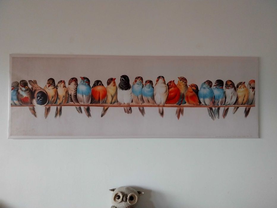 Quadro/tela com aves/pássaros